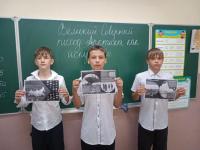 "Великий Северный поход: Арктика как искусство"