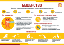 Важно! Вакцинация питомцев для профилактики зоонозных инфекций